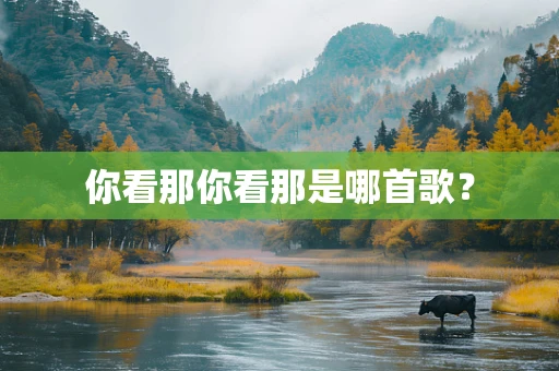 你看那你看那是哪首歌？