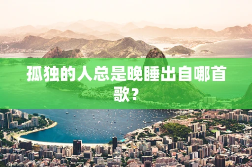 孤独的人总是晚睡出自哪首歌？