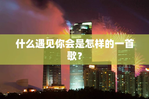 什么遇见你会是怎样的一首歌？