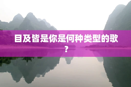 目及皆是你是何种类型的歌？