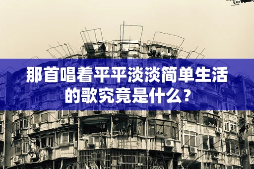 那首唱着平平淡淡简单生活的歌究竟是什么？