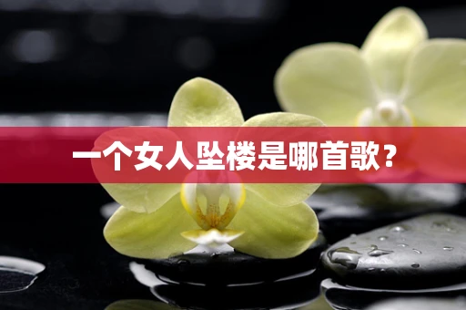 一个女人坠楼是哪首歌？