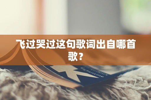 飞过哭过这句歌词出自哪首歌？