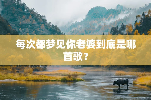 每次都梦见你老婆到底是哪首歌？