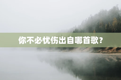 你不必忧伤出自哪首歌？