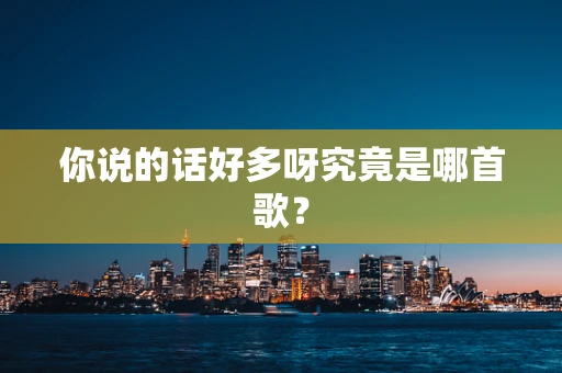 你说的话好多呀究竟是哪首歌？