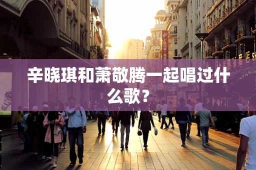 辛晓琪和萧敬腾一起唱过什么歌？
