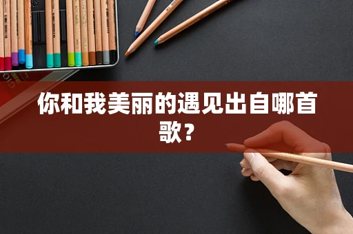 你和我美丽的遇见出自哪首歌？