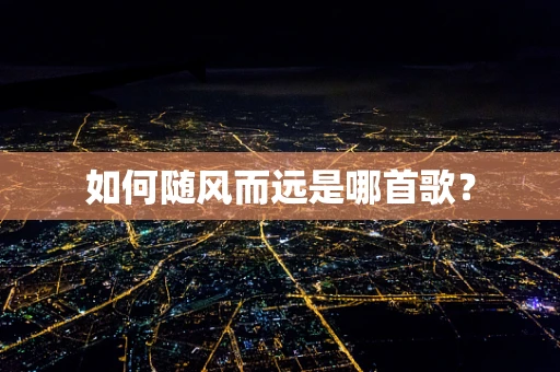如何随风而远是哪首歌？