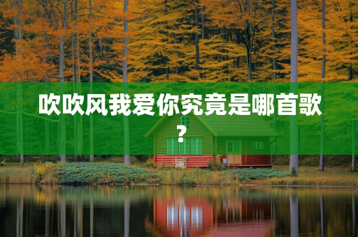 吹吹风我爱你究竟是哪首歌？