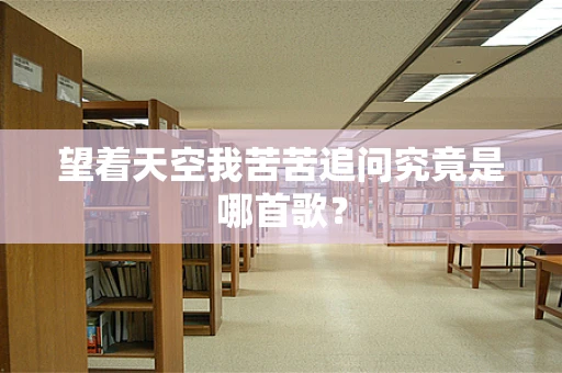 望着天空我苦苦追问究竟是哪首歌？