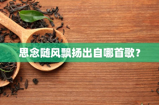 思念随风飘扬出自哪首歌？