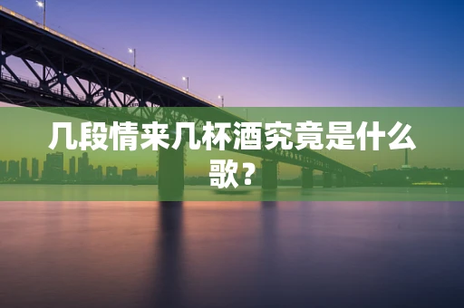 几段情来几杯酒究竟是什么歌？