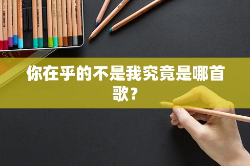 你在乎的不是我究竟是哪首歌？