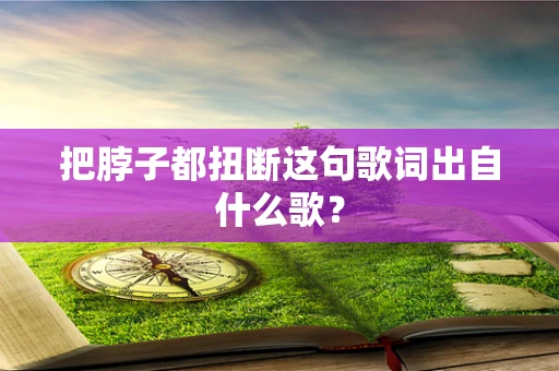 把脖子都扭断这句歌词出自什么歌？