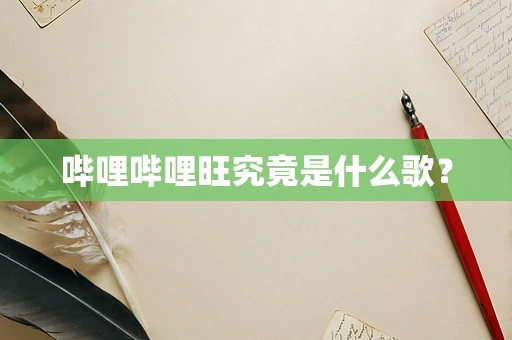哔哩哔哩旺究竟是什么歌？