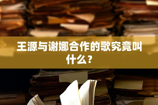 王源与谢娜合作的歌究竟叫什么？
