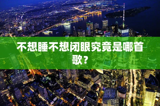 不想睡不想闭眼究竟是哪首歌？