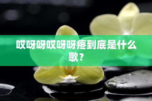哎呀呀哎呀呀疼到底是什么歌？