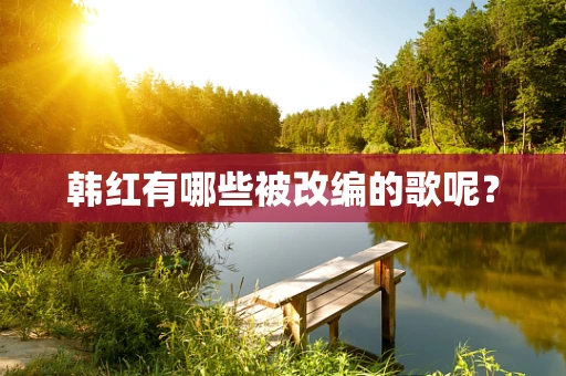 韩红有哪些被改编的歌呢？