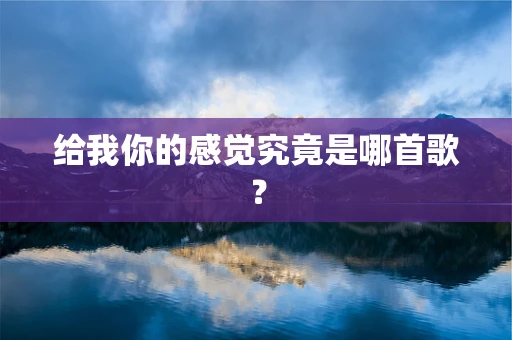 给我你的感觉究竟是哪首歌？
