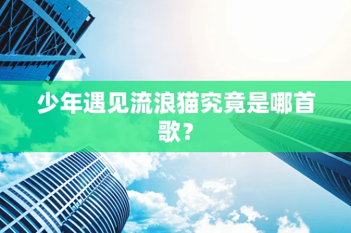 少年遇见流浪猫究竟是哪首歌？