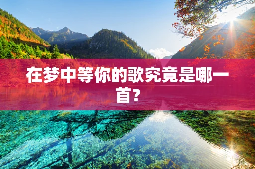 在梦中等你的歌究竟是哪一首？