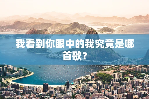 我看到你眼中的我究竟是哪首歌？