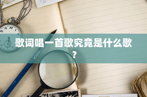 歌词唱一首歌究竟是什么歌？