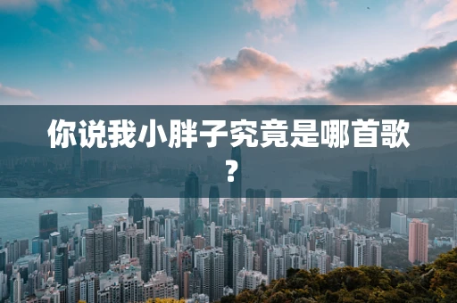 你说我小胖子究竟是哪首歌？