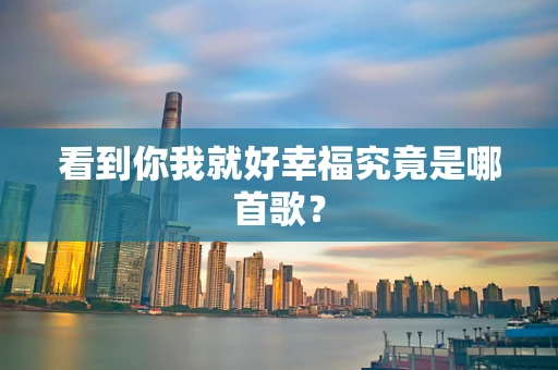 看到你我就好幸福究竟是哪首歌？