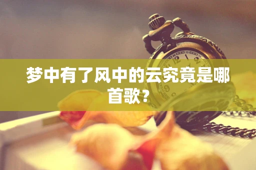 梦中有了风中的云究竟是哪首歌？