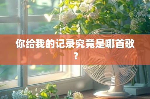你给我的记录究竟是哪首歌？