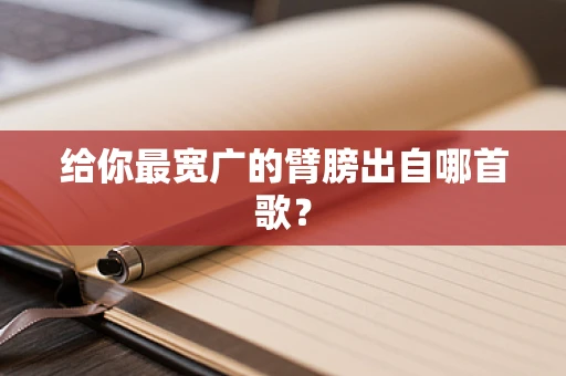 给你最宽广的臂膀出自哪首歌？