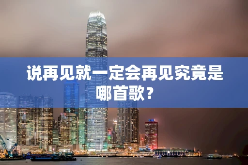 说再见就一定会再见究竟是哪首歌？