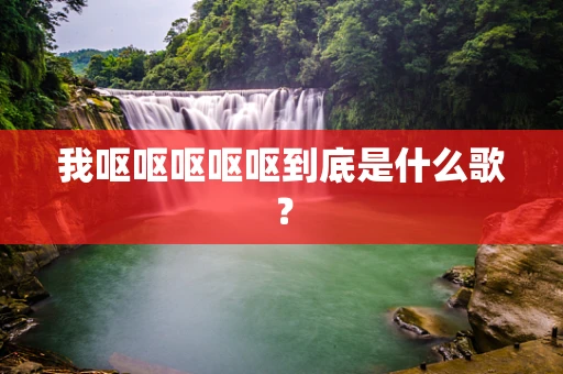 我呕呕呕呕呕到底是什么歌？