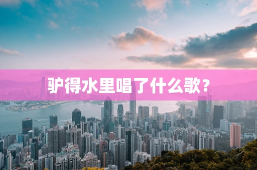 驴得水里唱了什么歌？