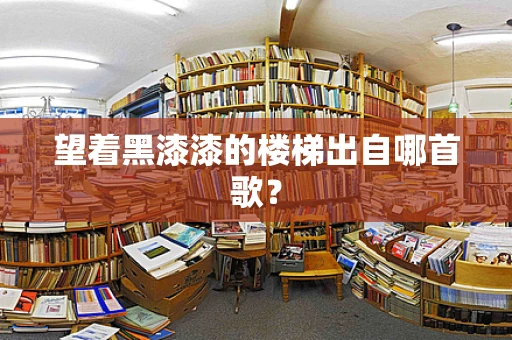 望着黑漆漆的楼梯出自哪首歌？