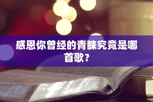 感恩你曾经的青睐究竟是哪首歌？