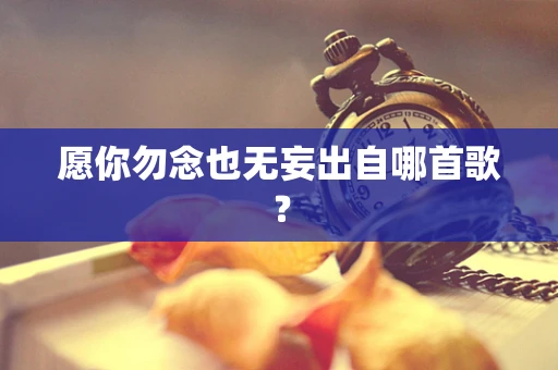 愿你勿念也无妄出自哪首歌？