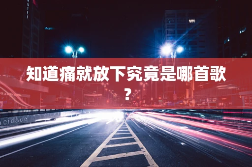 知道痛就放下究竟是哪首歌？