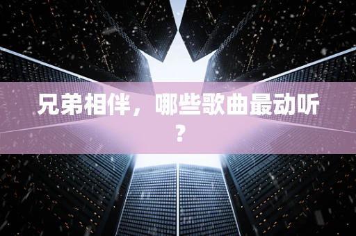 兄弟相伴，哪些歌曲最动听？