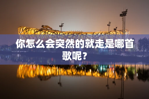 你怎么会突然的就走是哪首歌呢？