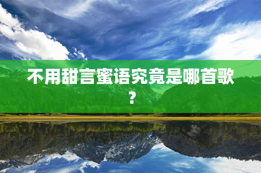 不用甜言蜜语究竟是哪首歌？