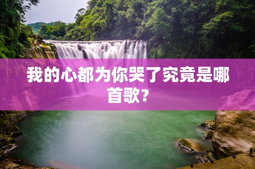 我的心都为你哭了究竟是哪首歌？