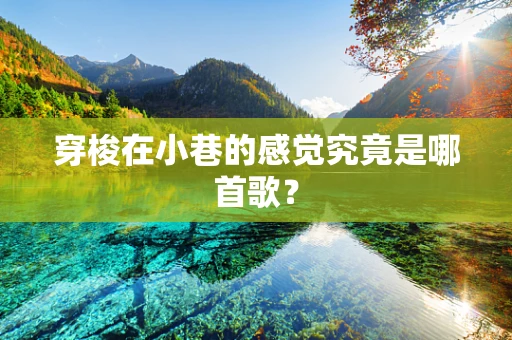 穿梭在小巷的感觉究竟是哪首歌？