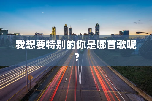 我想要特别的你是哪首歌呢？