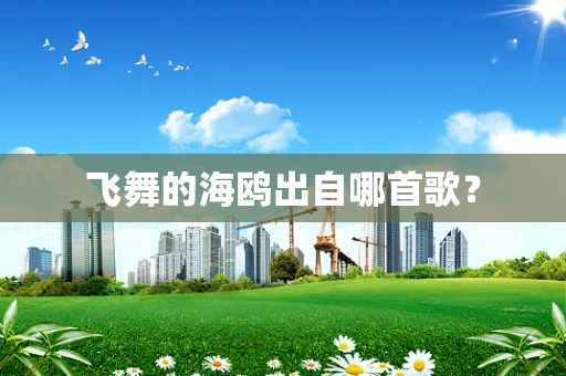 飞舞的海鸥出自哪首歌？