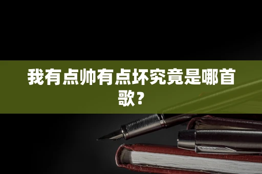 我有点帅有点坏究竟是哪首歌？