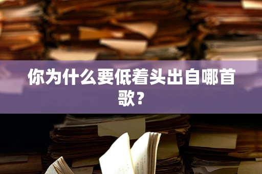 你为什么要低着头出自哪首歌？